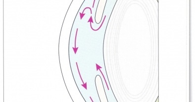 EL GLAUCOMA, LA CEGUERA SILENCIOSA